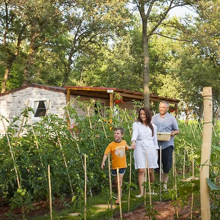 Ferienpark Istrian Premium Village Holiday Homes