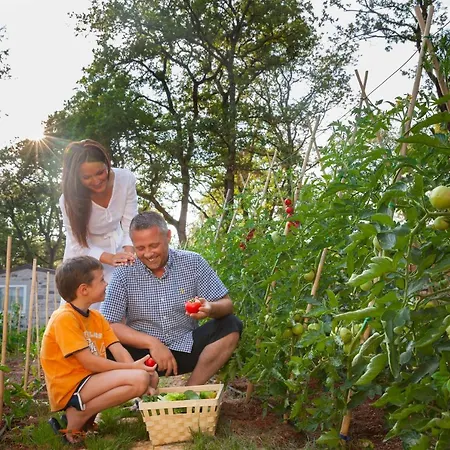 Ferienpark Istrian Premium Village Holiday Homes 4*